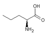 L-缬氨酸