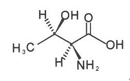 L-苏氨酸（L-Threonine）